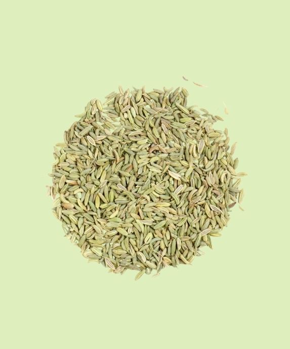 Fennel botanical ingredient