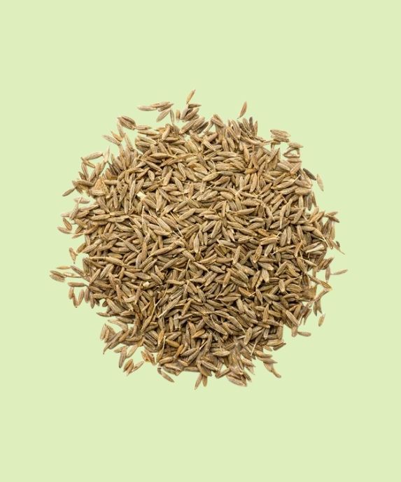 Cumin botanical ingredient
